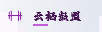合作伙伴