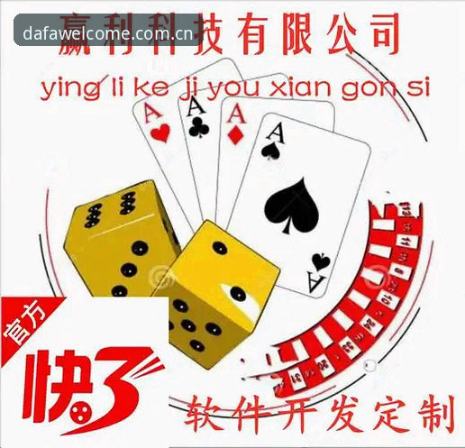 大发彩票平台登录指南：详解最新版入口与使用要点